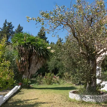Dora Pagoi 2 Apartman